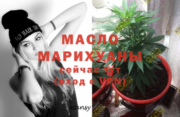 прущий лед Алзамай