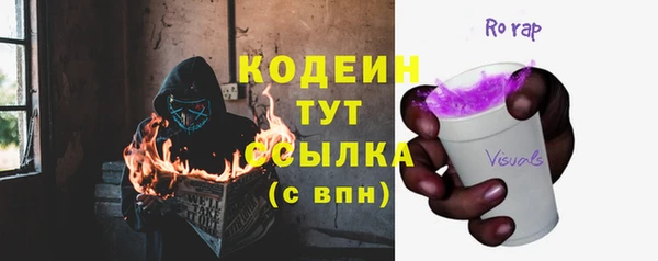 прущий лед Алзамай