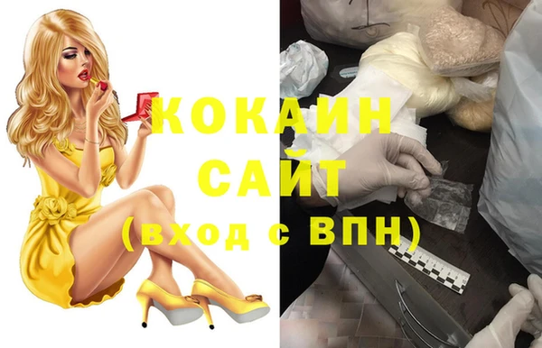 прущий лед Алзамай