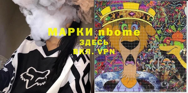 прущий лед Алзамай