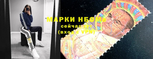 прущий лед Алзамай