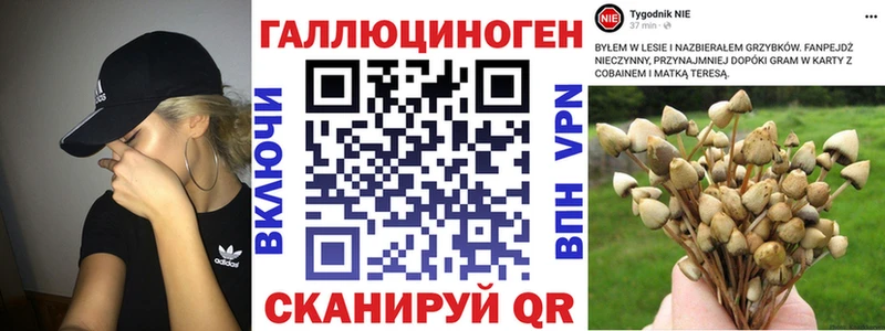 где продают   Нижний Новгород  Галлюциногенные грибы прущие грибы 